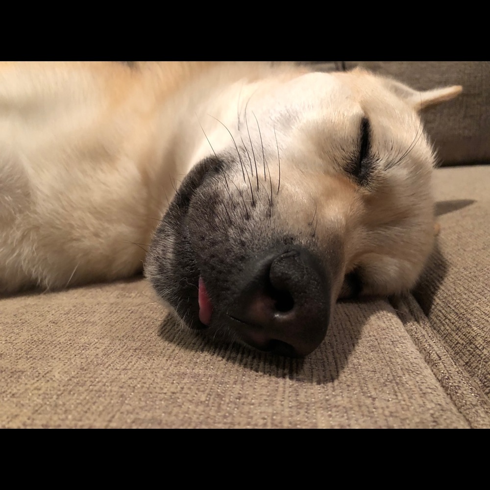 Meet your Posher, Kristin